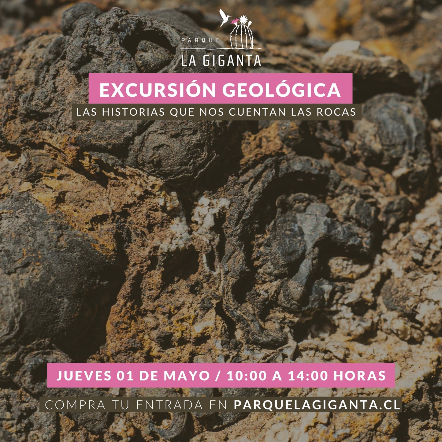 Excursión Geológica: Las historias que nos cuentan las rocas.