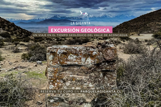 Excursión Geológica: La Historia que nos cuentan las Rocas