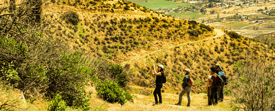 Excursiones guiadas - Parque La Giganta