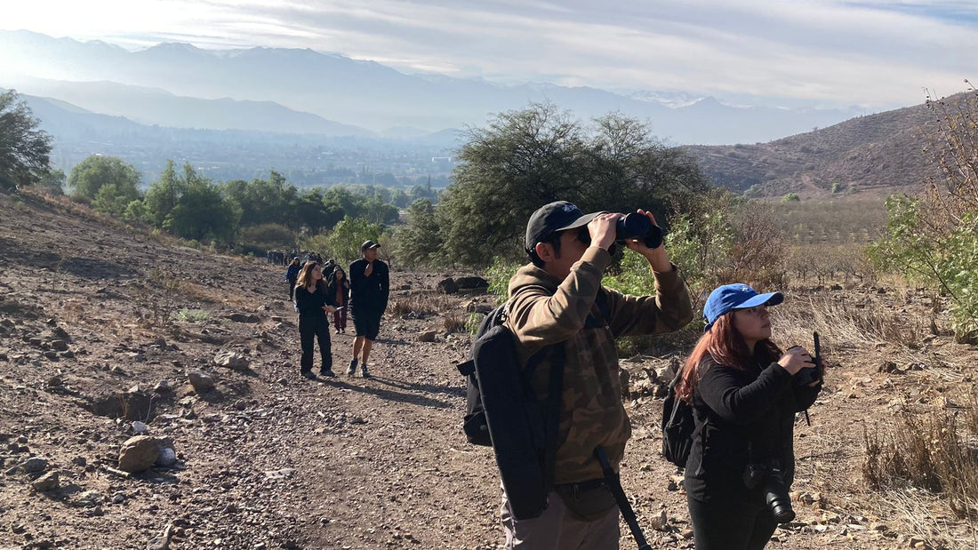 Jornada de Pajareo de la Red Observación de Aves en Parque La Giganta - Parque La Giganta