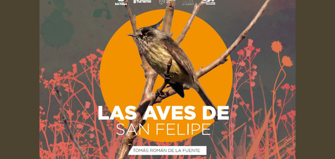 Libro Las Aves de San Felipe - Parque La Giganta
