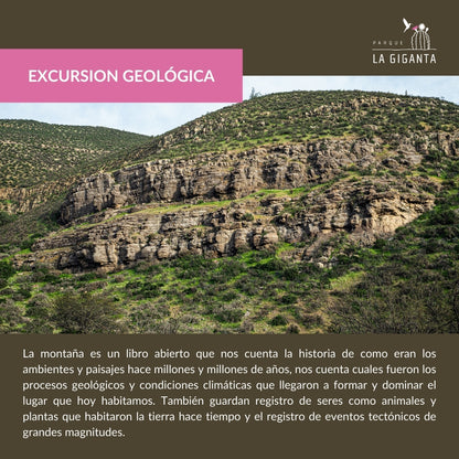 Excursión Geológica: Las historias que nos cuentan las rocas.