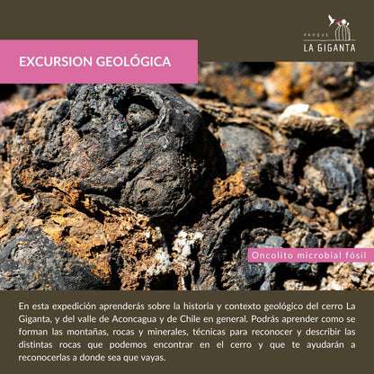 Excursión Geológica: Las historias que nos cuentan las rocas.