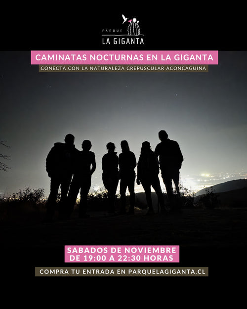 Caminatas Nocturnas en Parque La Giganta