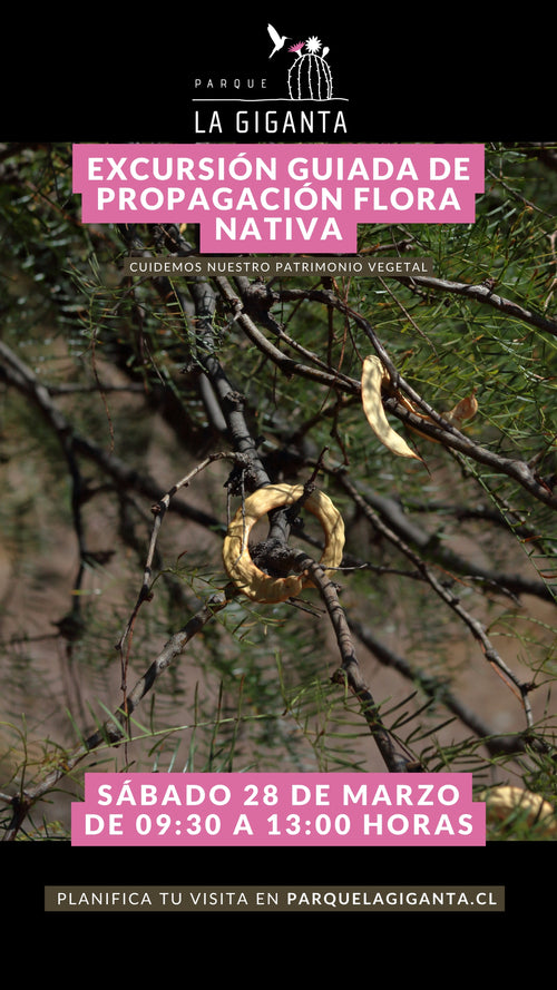 Excursión Botánica