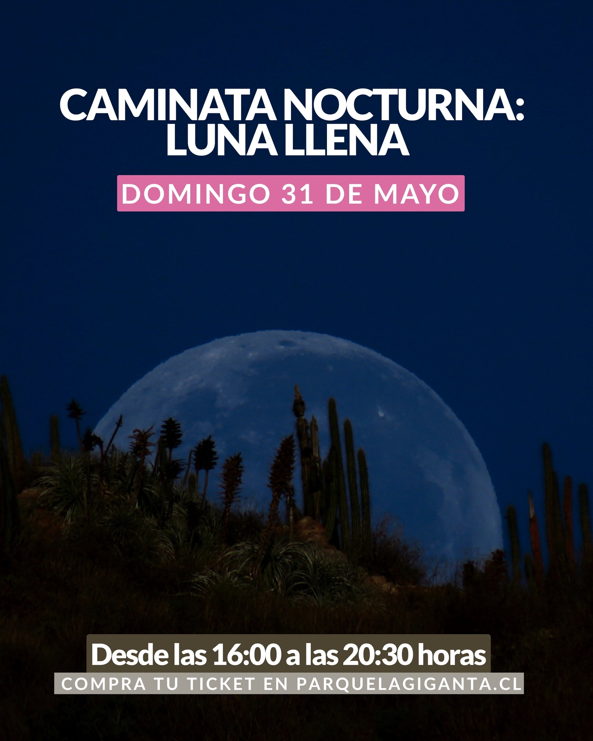 Caminatas Nocturnas en Parque La Giganta