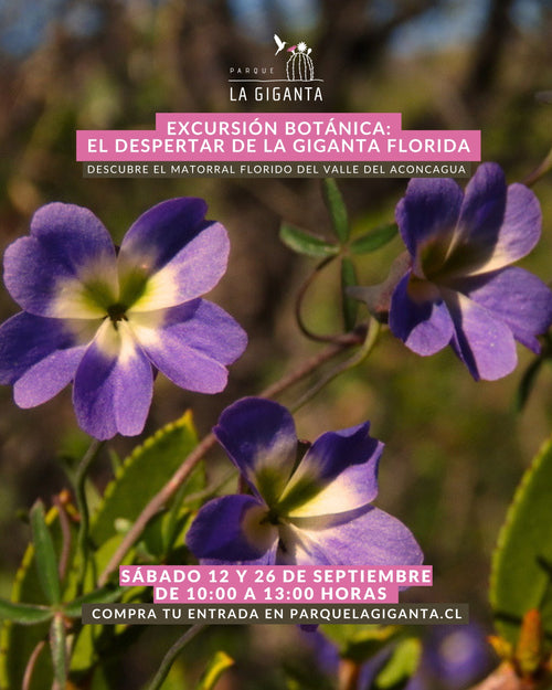 Excursión Botánica