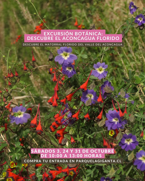 Excursión Botánica