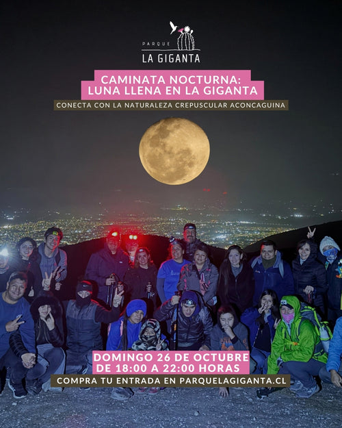 Caminatas Nocturnas en Parque La Giganta