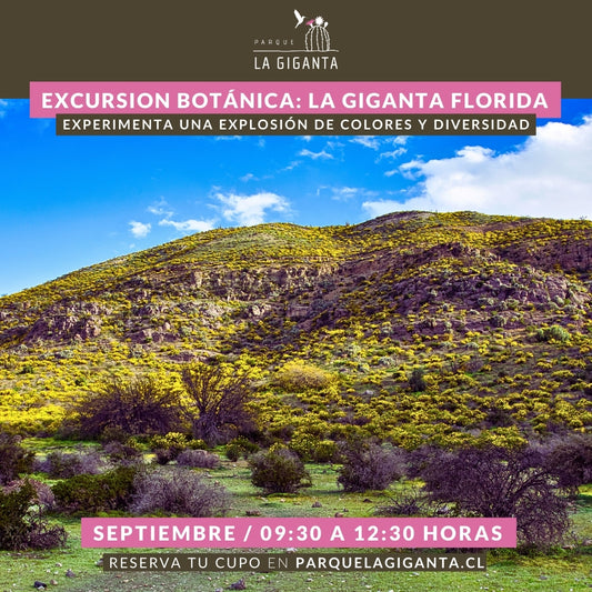 Excursión Botánica: La Giganta Florida