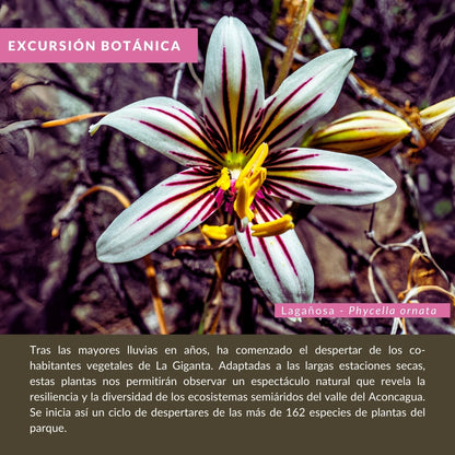 Excursión Botánica: La Giganta Florida