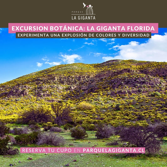 Excursión Botánica: La Giganta Florida