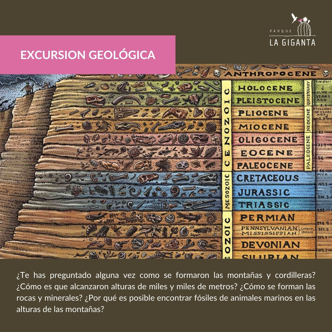 Excursión Geológica: Las historias que nos cuentan las rocas.