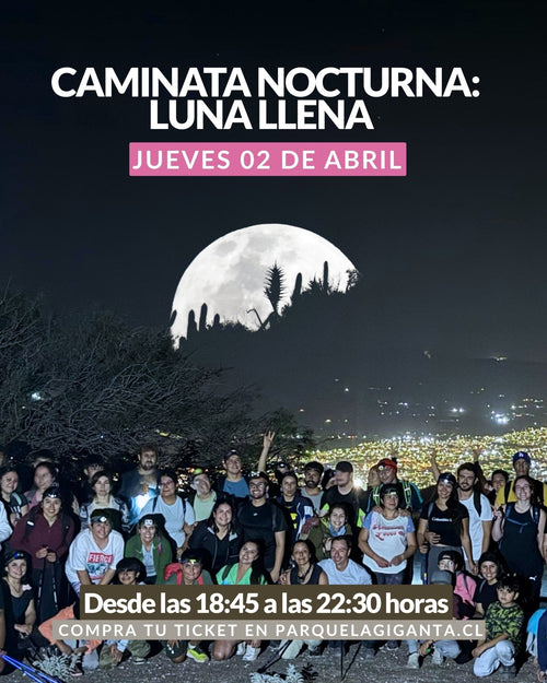 Caminatas Nocturnas en Parque La Giganta - Parque La Giganta