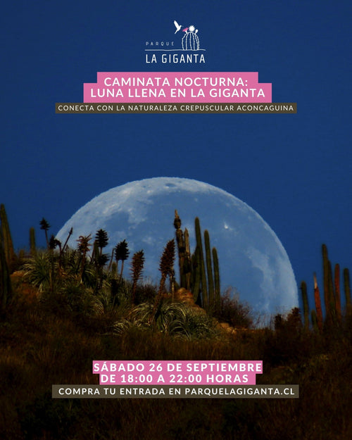 Caminatas Nocturnas en Parque La Giganta - Parque La Giganta