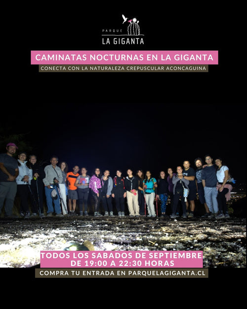 Caminatas Nocturnas en Parque La Giganta - Parque La Giganta