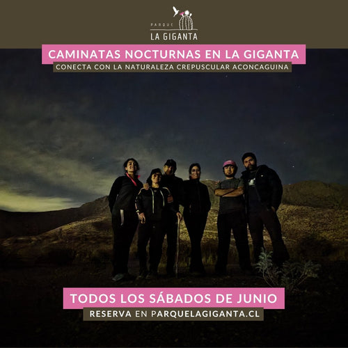 Caminatas Nocturnas en Parque La Giganta - Parque La Giganta