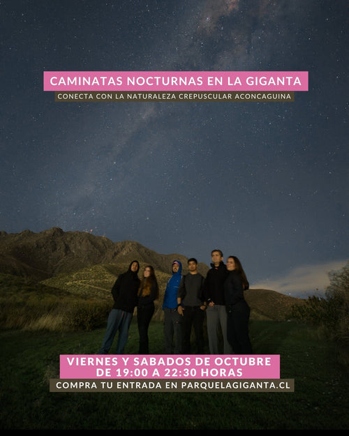 Caminatas Nocturnas en Parque La Giganta - Parque La Giganta