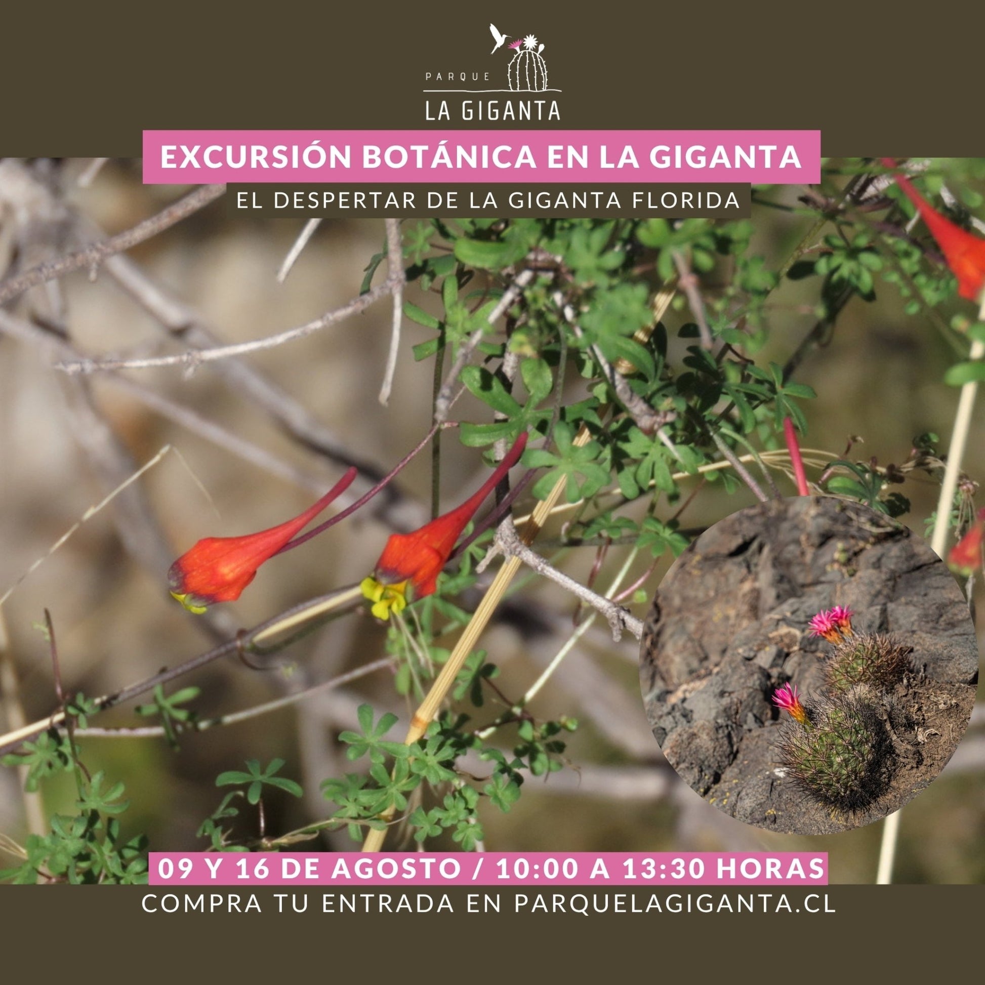 Excursión Botánica - Parque La Giganta