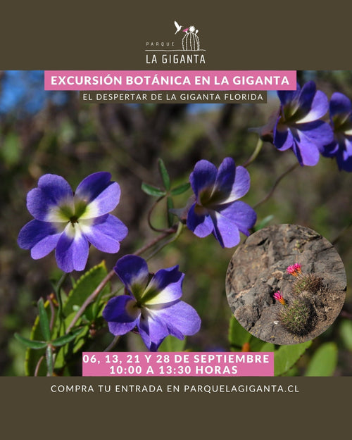 Excursión Botánica - Parque La Giganta