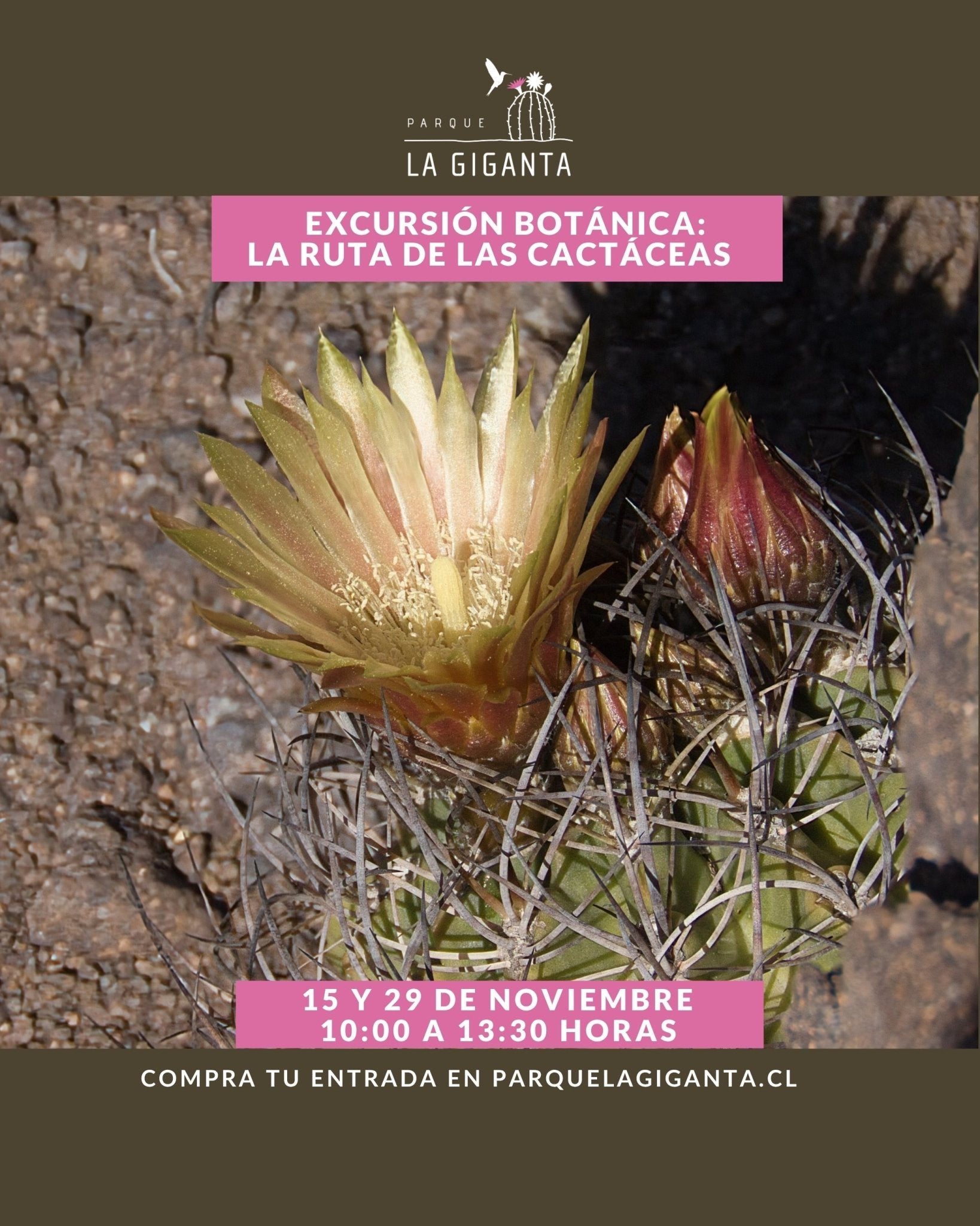 Excursión Botánica - Parque La Giganta