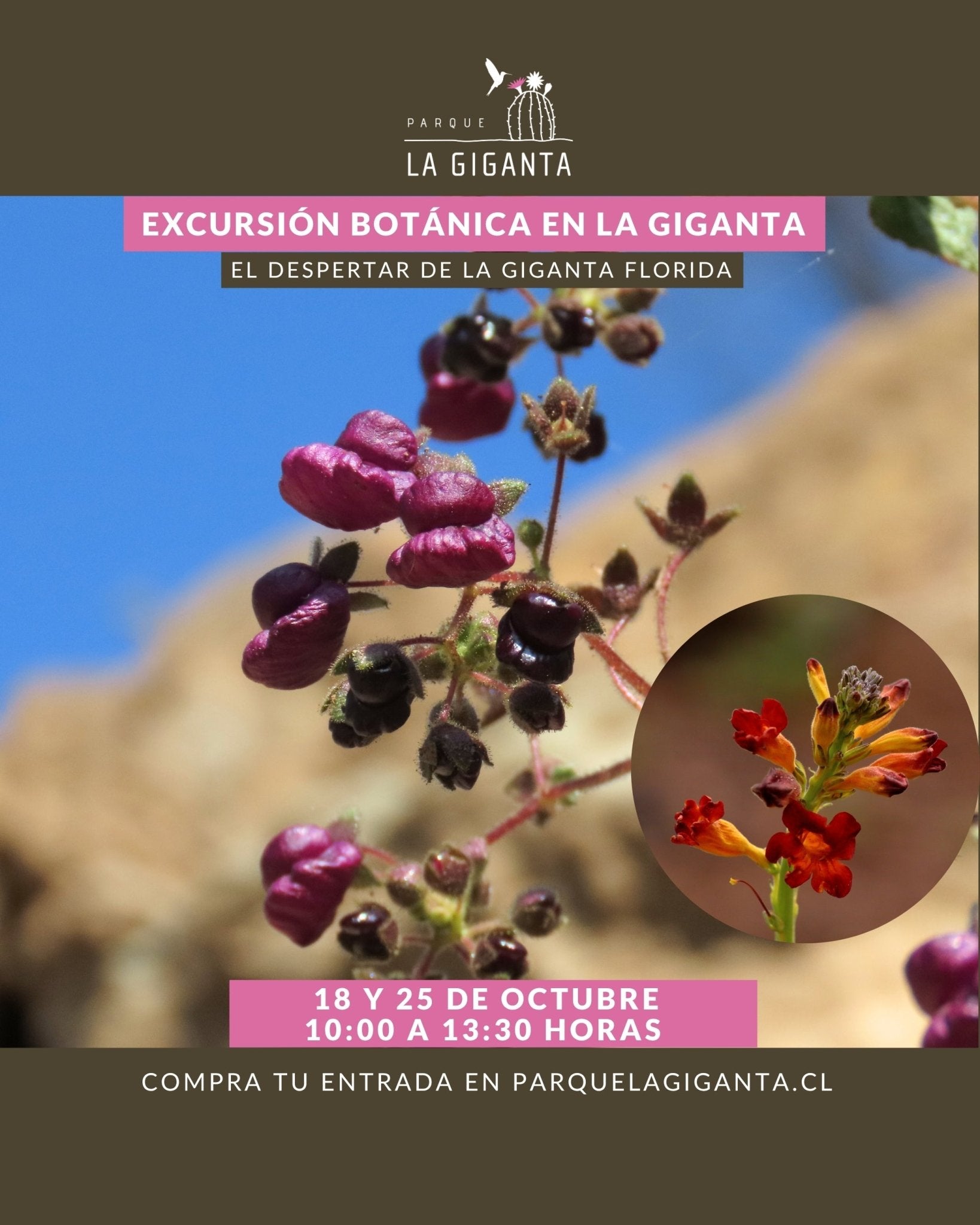 Excursión Botánica - Parque La Giganta