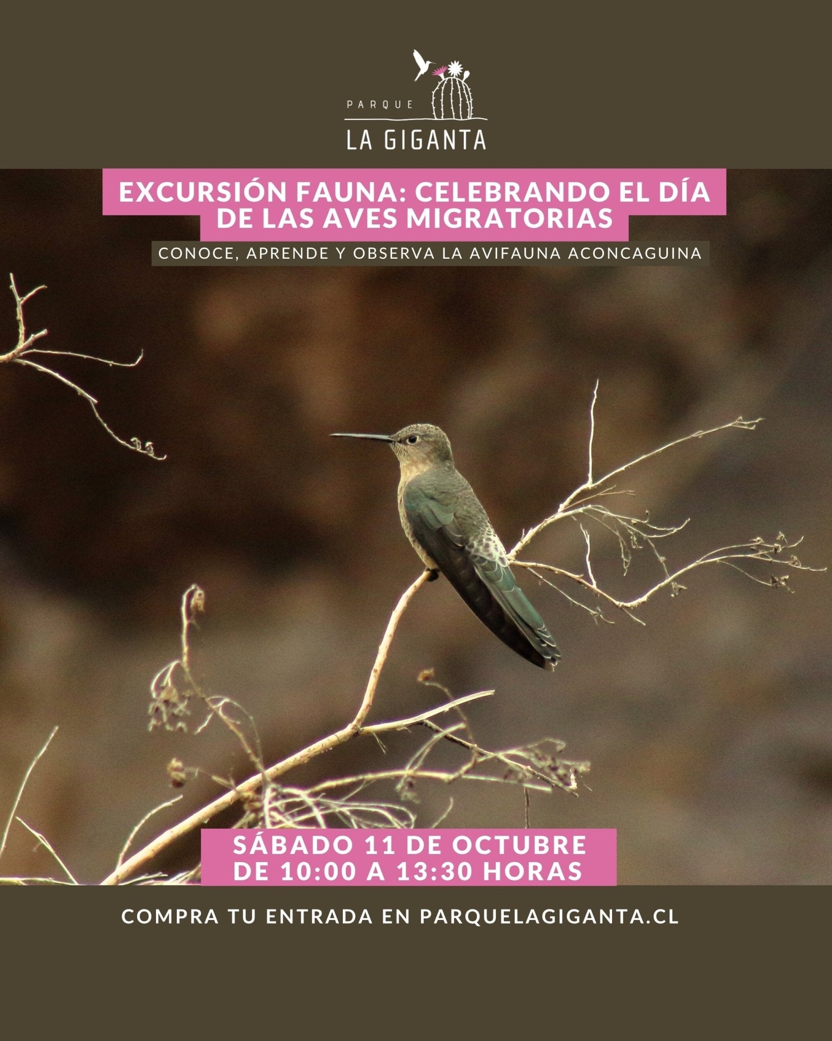 Excursión Fauna: Celebrando el día de las aves migratorias - Parque La Giganta