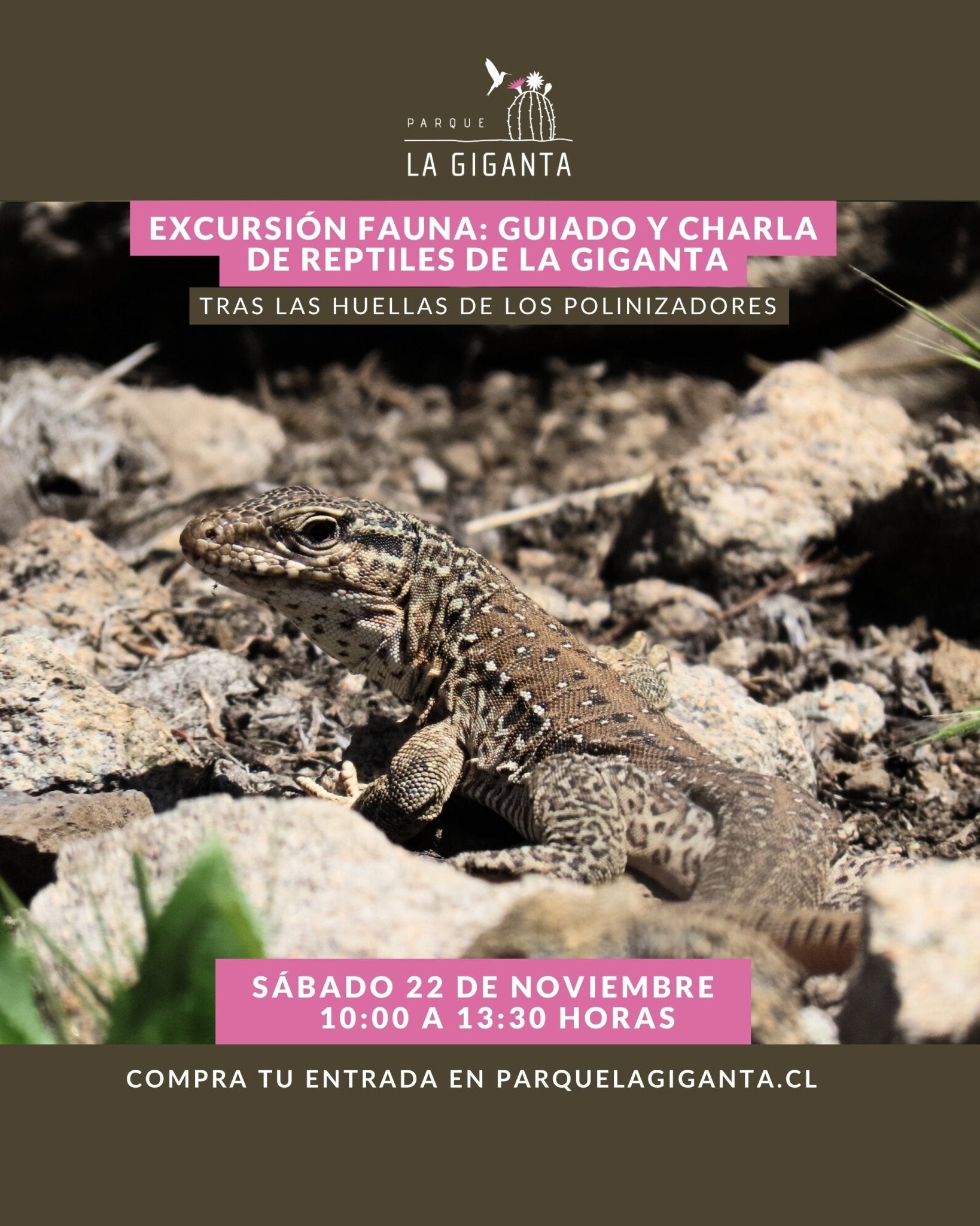 Excursión Fauna: Reptiles de La Giganta - Parque La Giganta