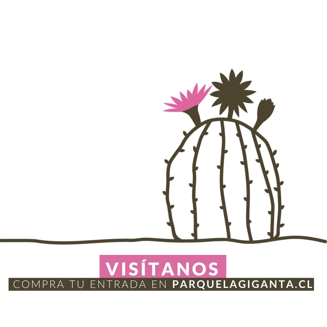 Excursión Geológica en Parque La Giganta. - Parque La Giganta