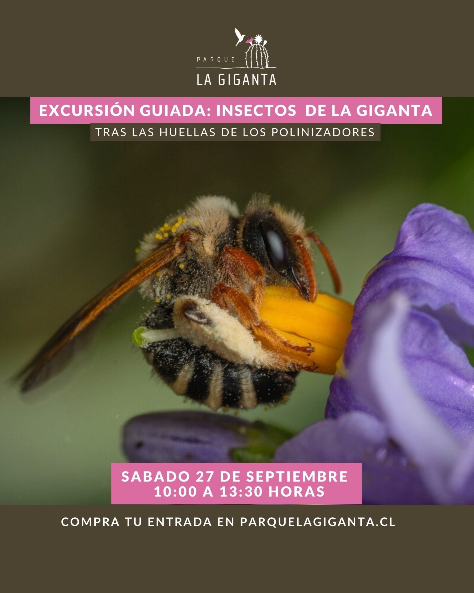 Excursión guiada de insectos – Parque La Giganta - Parque La Giganta